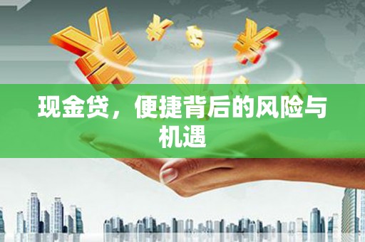 宿豫现金贷，便捷背后的风险与机遇