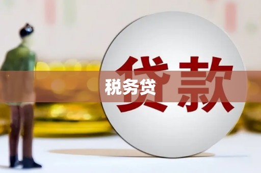 宿豫税务贷