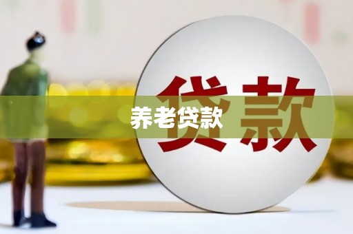 宿豫养老贷款