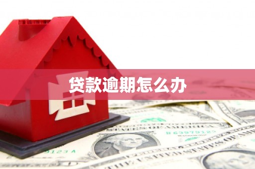 宿豫贷款逾期怎么办