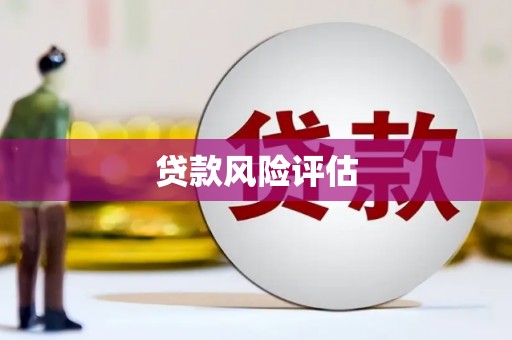 宿豫贷款风险评估