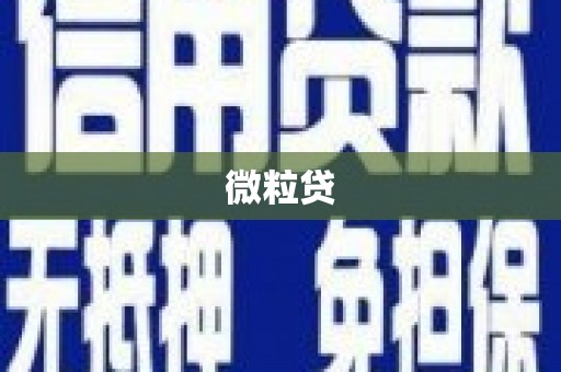 宿豫微粒贷