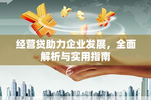 宿豫经营贷助力企业发展，全面解析与实用指南