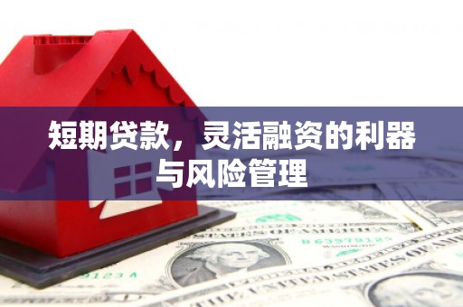 宿豫短期贷款，灵活融资的利器与风险管理