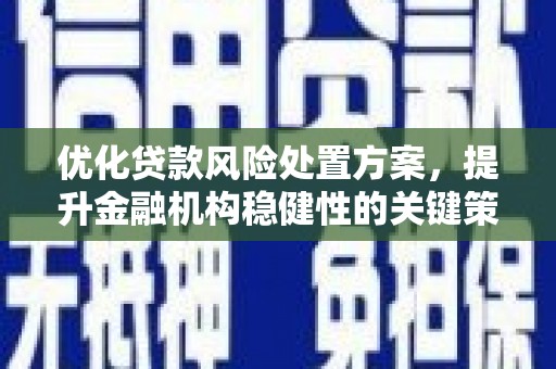 宿豫优化贷款风险处置方案，提升金融机构稳健性的关键策略