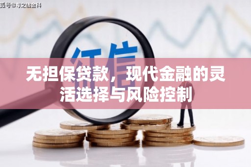 宿豫无担保贷款，现代金融的灵活选择与风险控制