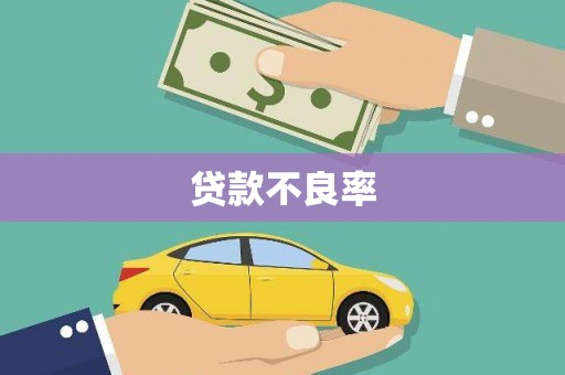 宿豫贷款不良率
