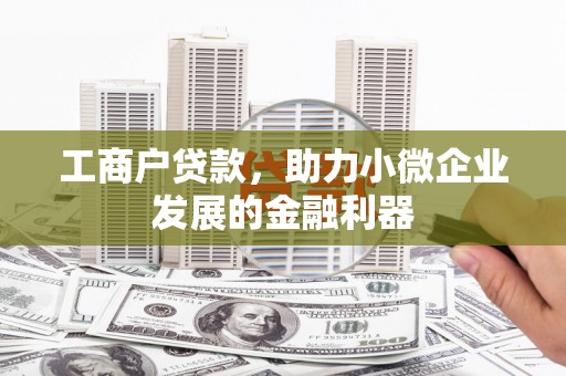 宿豫工商户贷款，助力小微企业发展的金融利器