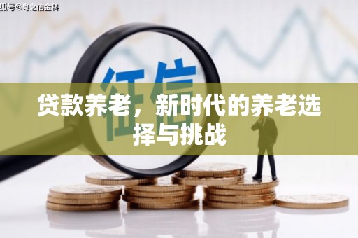 宿豫贷款养老，新时代的养老选择与挑战