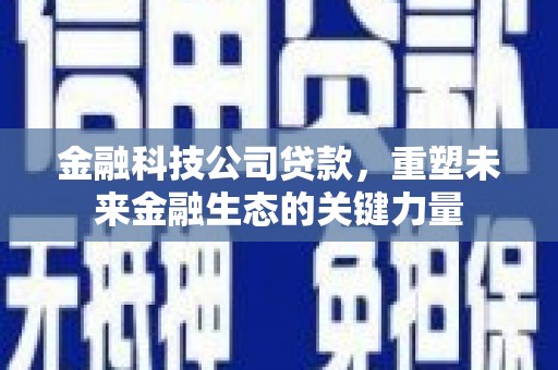 宿豫金融科技公司贷款，重塑未来金融生态的关键力量