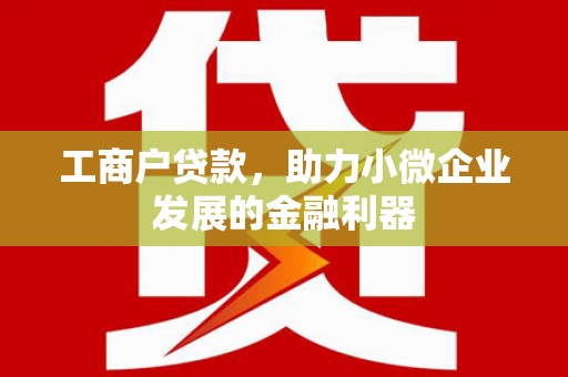 宿豫工商户贷款，助力小微企业发展的金融利器