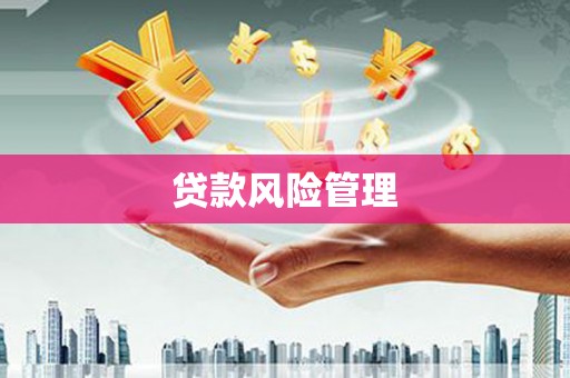 宿豫贷款风险管理