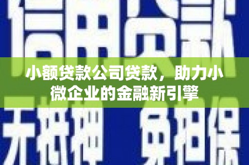 宿豫小额贷款公司贷款，助力小微企业的金融新引擎