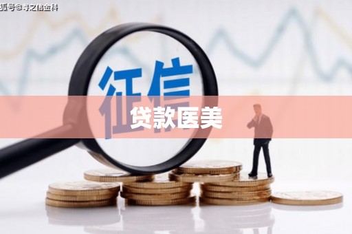 宿豫贷款医美