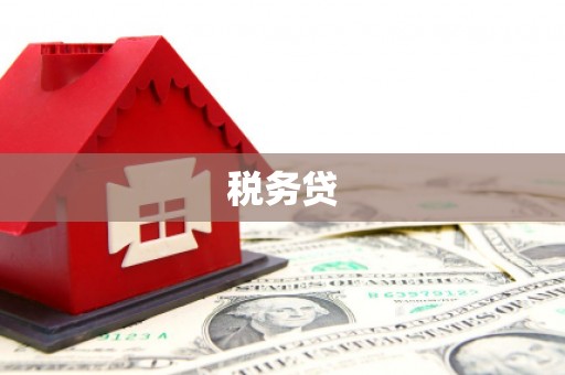 宿豫税务贷