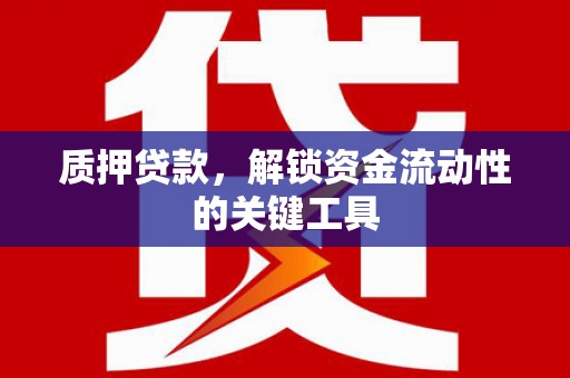 宿豫质押贷款，解锁资金流动性的关键工具