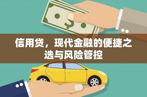 宿豫信用贷，现代金融的便捷之选与风险管控