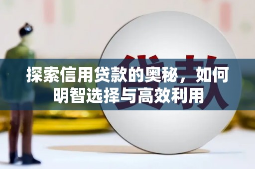 宿豫探索信用贷款的奥秘，如何明智选择与高效利用