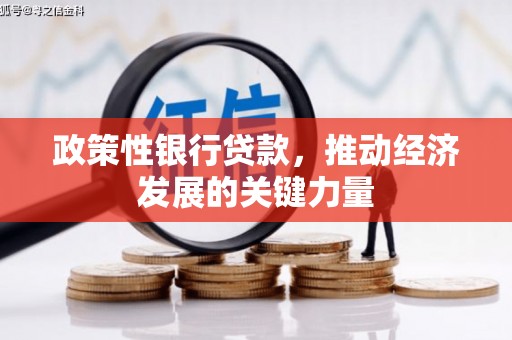 宿豫政策性银行贷款，推动经济发展的关键力量