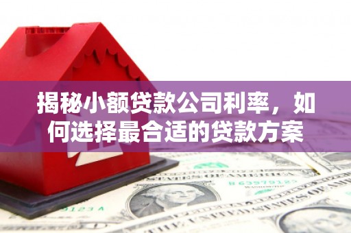 宿豫揭秘小额贷款公司利率，如何选择最合适的贷款方案
