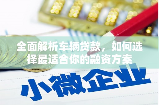 宿豫全面解析车辆贷款，如何选择最适合你的融资方案