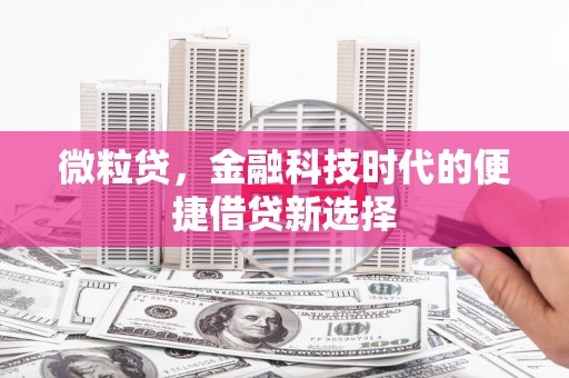 宿豫微粒贷，金融科技时代的便捷借贷新选择