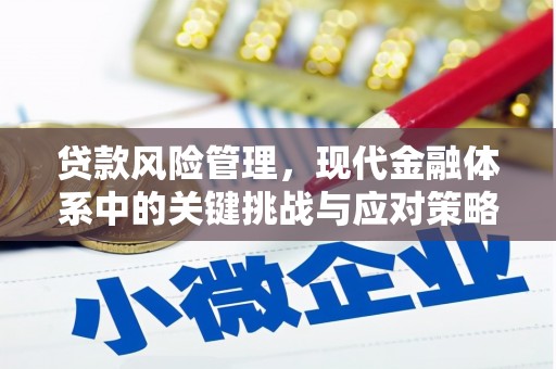 宿豫贷款风险管理，现代金融体系中的关键挑战与应对策略