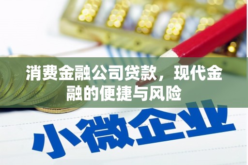 宿豫消费金融公司贷款，现代金融的便捷与风险