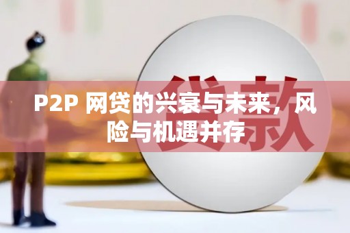 宿豫P2P 网贷的兴衰与未来，风险与机遇并存
