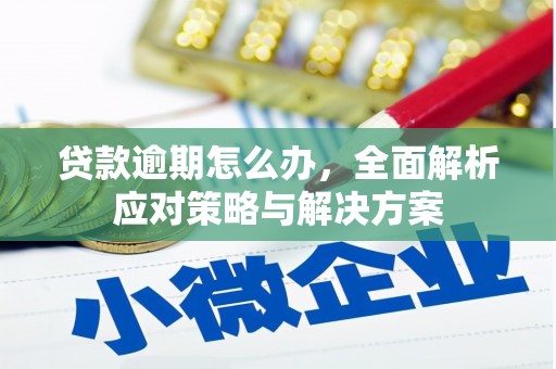 宿豫贷款逾期怎么办，全面解析应对策略与解决方案