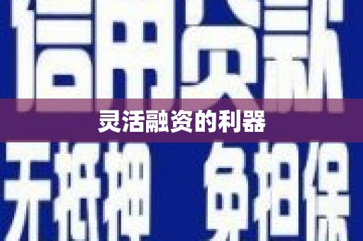 宿豫灵活融资的利器