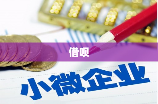 宿豫借呗
