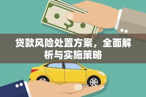 宿豫贷款风险处置方案，全面解析与实施策略